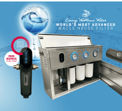 Whole Hose Water Filter