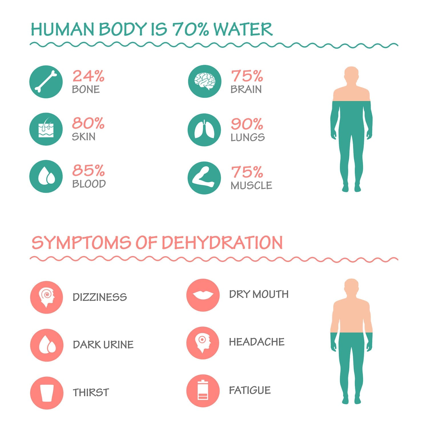 water-should-you-drink-per-day